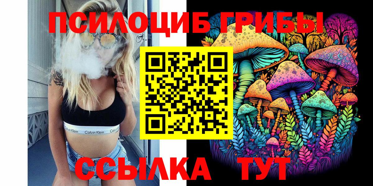 Избербаш  Псилоцибиновые грибы Magic Shrooms  Вход с VPN 